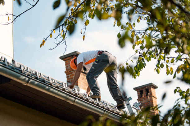 Best Roof Gutter Cleaning  in Rossvle, IL